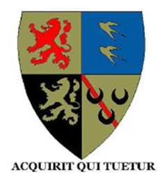 logo pictogram logo-willem-snickerieme